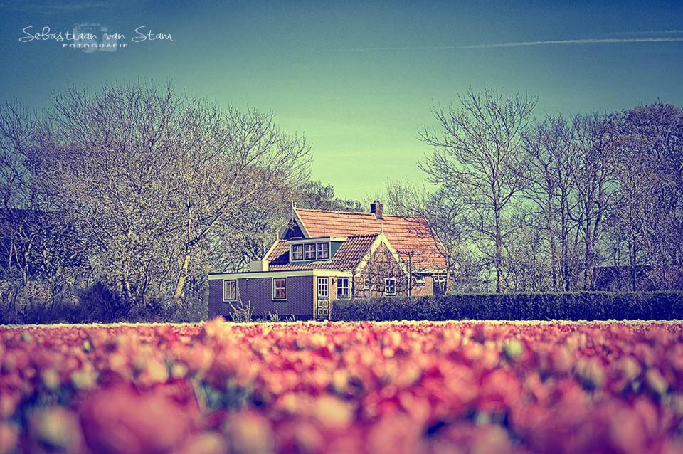 Bungalow Callantsoog 't Zand 외부 사진